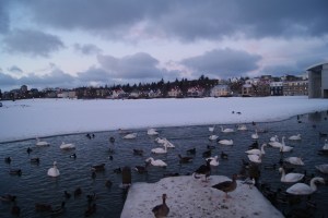 the 'big pond' frozen over