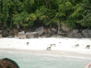 1902886_10154766944550118_994709991752768335_n