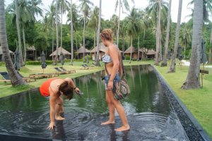 301307_10150804444915118_431655488_n