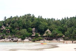 316424_10150804310925118_1675957546_n