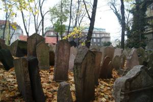 10352267_10154924548040118_3465585972410161676_n