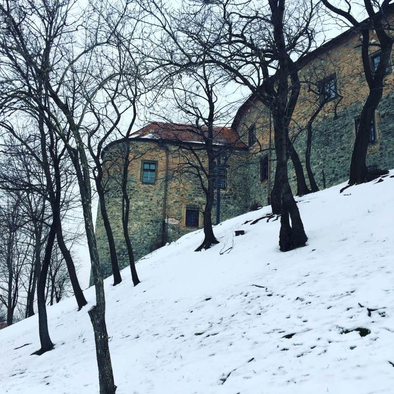 vegan in bratislava - www.thewanderingboomerang.com