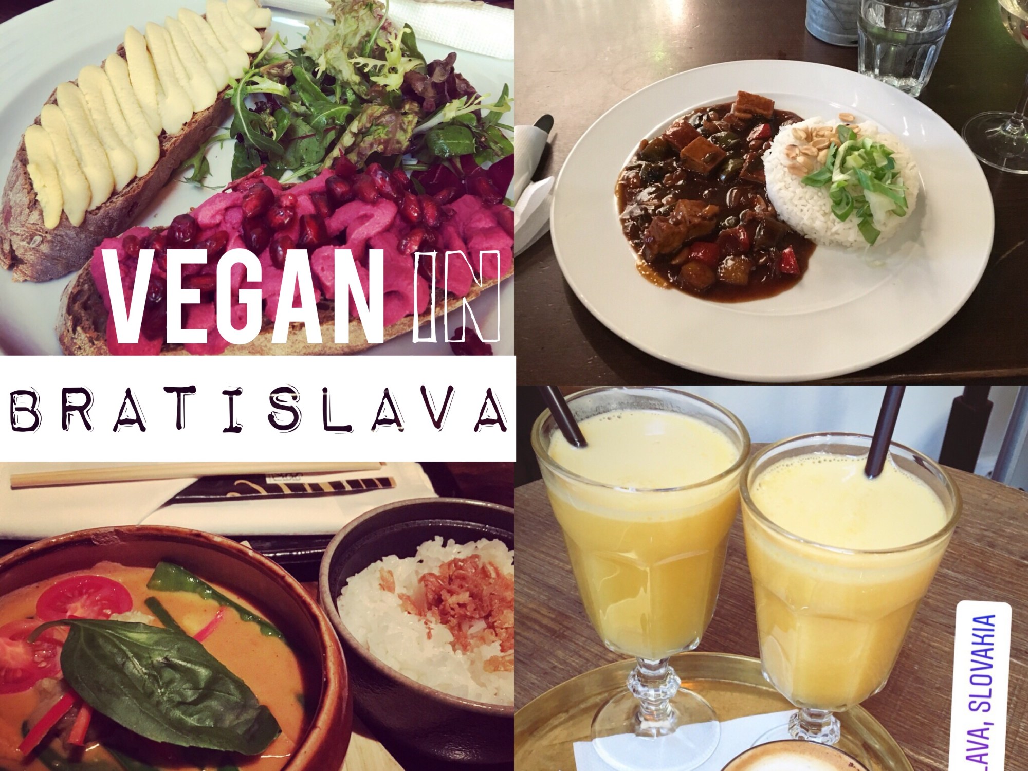 vegan in bratislava - www.thewanderingboomerang.com